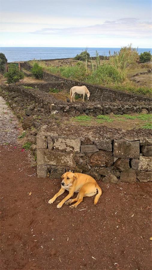 Quinta Da Falesia - Casa Branca Ponta Delgada 외부 사진