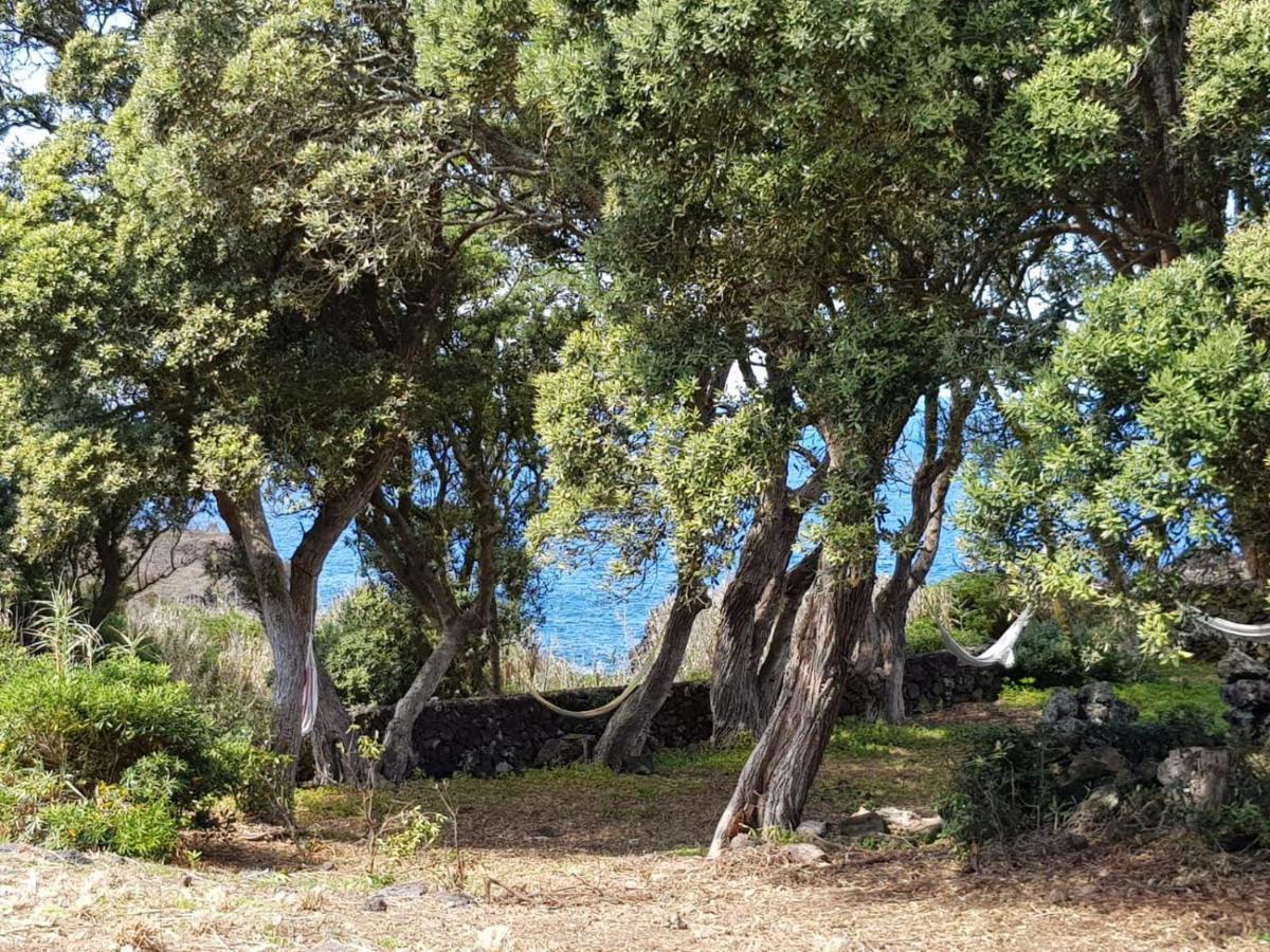 Quinta Da Falesia - Casa Branca Ponta Delgada 외부 사진