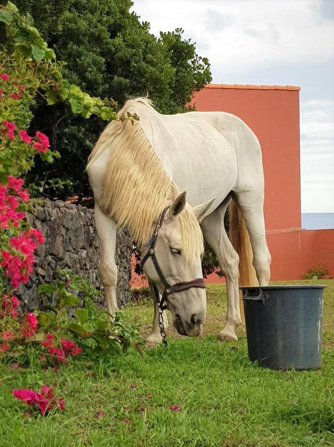 Quinta Da Falesia - Casa Branca Ponta Delgada 외부 사진
